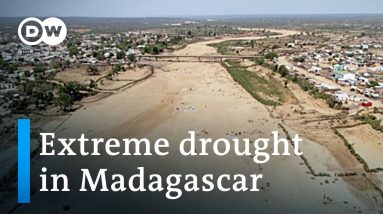 Madagascar's impending hunger crisis | DW News