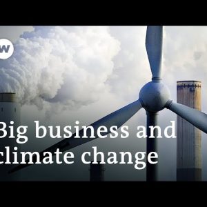 How committed are companies worldwide to climate protection? | DW Business