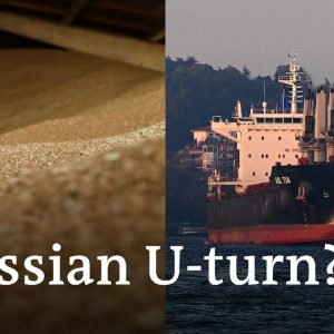 Moscow agrees to resume cooperation in Ukraine grain export deal | Ukraine latest