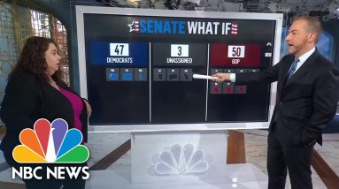 Senate What If?: ‘50/50 … [Is] Democrats’ Best-Case Scenario’