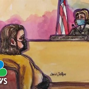 Suspect In Paul Pelosi Attack Pleads Not Guilty To Attempted Murder