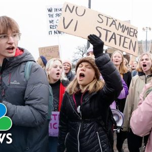 Greta Thunberg Joins Hundreds Of Climate Activists For March In Stockholm
