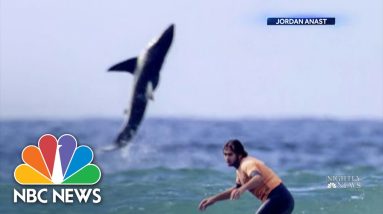 Watch: Great White Shark Leaping Out Of Water Behind Surfer