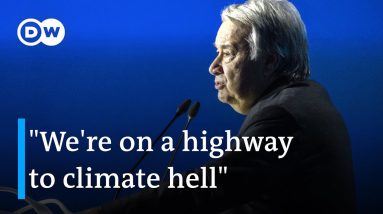 What needs to be done to make global industry go green? | DW News