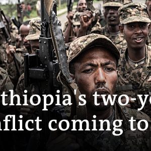 Will the ceasefire deal mean the end of Ethiopia's civil war? | DW News