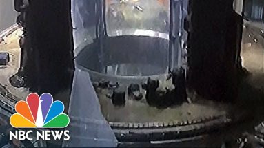 Huge Aquarium Housing 1,500 Fish Bursts In Berlin