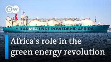 Could Africa become a leader in supplying green fuel to the world? | DW News