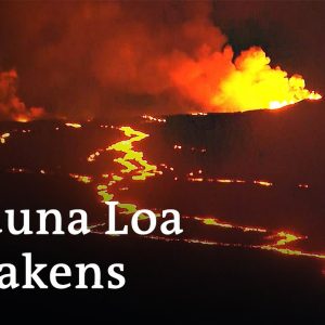 Mauna Loa volcano eruption threatens busy Hawaii highway | DW News