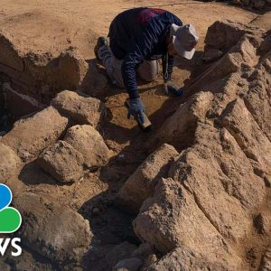 Roman-Era Tombs Uncovered At Gaza Strip Housing Development