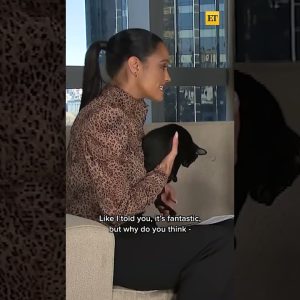 The Cast Of Puss in Boots: The Last Wish Get Distracted by Cats #shorts