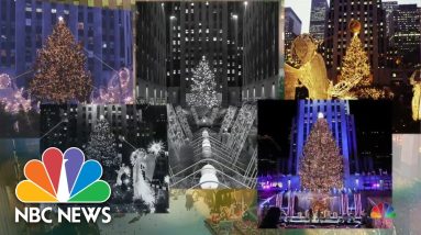 The Search For The Perfect Rockefeller Center Christmas Tree