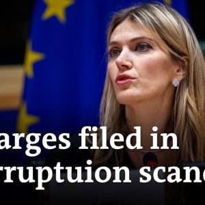 What does the case say about the European Parliament at large? | DW News