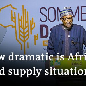 War, inflation, pandemic and climate change threaten African nations’ food security | DW News