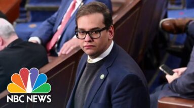 GOP members call for George Santos to resign