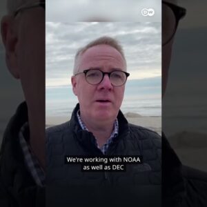 Humpback whale stranded on New York beach | DW News