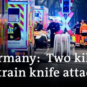 Two killed, several injured in a knife attack on a train in Germany | DW News
