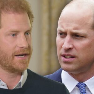 Prince Harry Explains Why He Didn’t Fight William After Alleged Attack