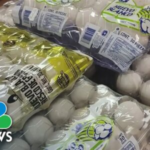 U.S. Border Patrol sees rise in egg interceptions amid soaring prices