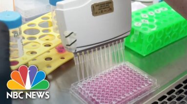 Valley fever cases on the rise and may worsen due to climate change