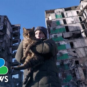 11-year-old feeds feral pets amidst the rubble in Ukraine