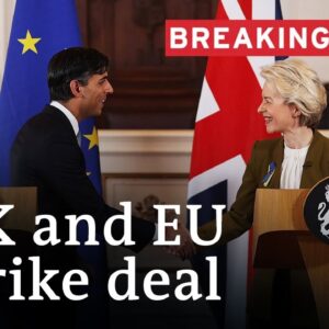 EU, UK strike post-Brexit trade deal for Northern Ireland | DW News