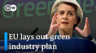 Funding the green transition: A global subsidy race? | DW News