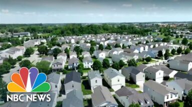 Home sales plunge as market continues to cool