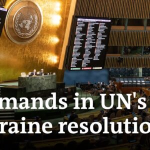 Non-binding: Why is the UN resolution important? | DW News