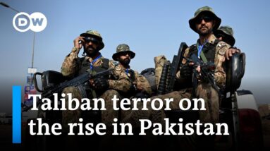 Minister: Pakistan’s deteriorating security situation is due to Afghanistan exit | DW News