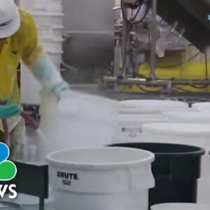 Over 100 minors found illegally employed cleaning slaughterhouses