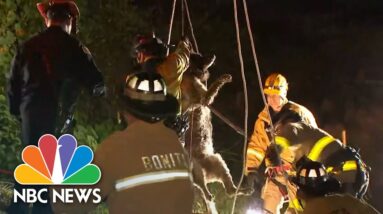 Watch: San Diego firefighters rescue dog from 30-foot hole