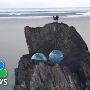 Why scavenger hunts are making a comeback in Oregon