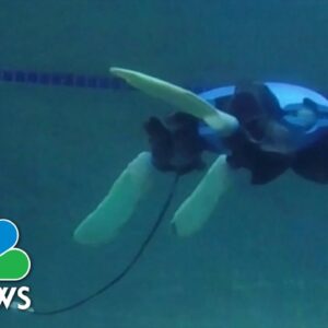 Yale researchers develop turtle-like robot