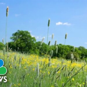 Allergy season becoming longer and stronger due to climate change