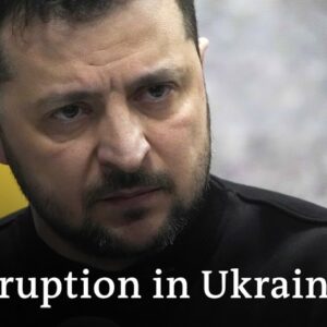 Can Ukraine's new anti-corruption investigator level the country's path to the EU? | DW News