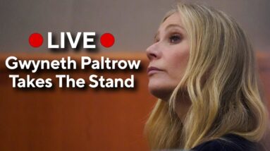 Gwyneth Paltrow Testifies In Ski Crash Trial