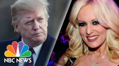 Adult film star Stormy Daniels at center of probe into former President Trump