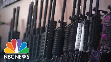 Nashville elementary school shooting renews pleas for gun control