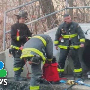 New York firefighters rescue 5 kids stuck in Staten Island sewer