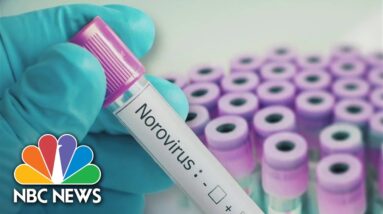 Norovirus cases spike in both kids and adults