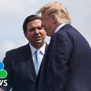 Panel: DeSantis must 'take on Trump directly' in coming months