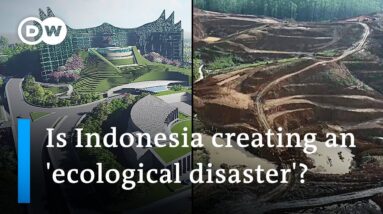 Critics warn Indonesia's new capital Nusantara could become an ecological disaster | DW News