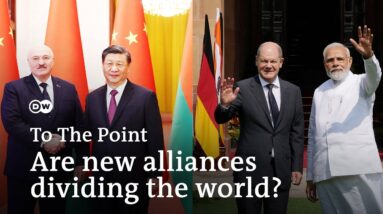 War in Ukraine: Are new alliances dividing the world? | To the point