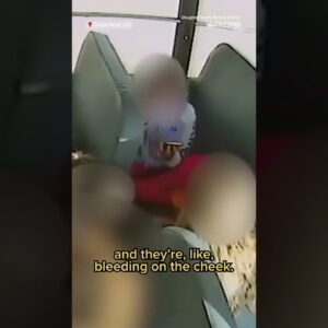 A former #Colorado school bus driver is facing 30 misdemeanor charges after brake checking children.