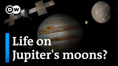 The European Space Agency’s seven-year mission hopes to answer some tantalizing questions | DW News