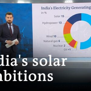 India calls for massive investment into solar power | DW Business