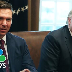 Rep. Donalds: DeSantis is the ‘best governor in the country,’ but Trump will ‘get the job done’