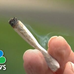 Lawmakers address cannabis reform on 4/20