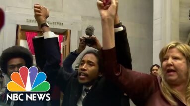 Ousted Tennessee state lawmakers fight to reclaim their seats