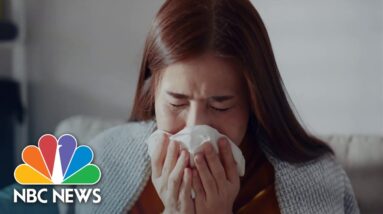 Seasonal allergies becoming more common amid warming temperatures